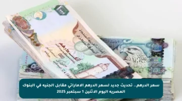 سعر الدرهم.. تحديث جديد لسعر الدرهم الإماراتي مقابل الجنيه في البنوك المصرية اليوم الاثنين 1 سبتمبر 2025